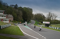 Advanced Group White Bikes